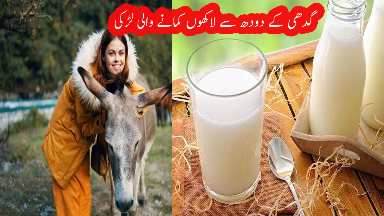earn-money-from-donkey-milk