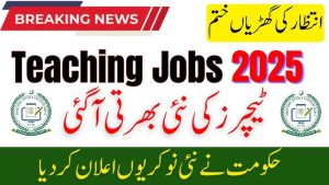 STI Teachers Jobs 2025 – School Wise List Details