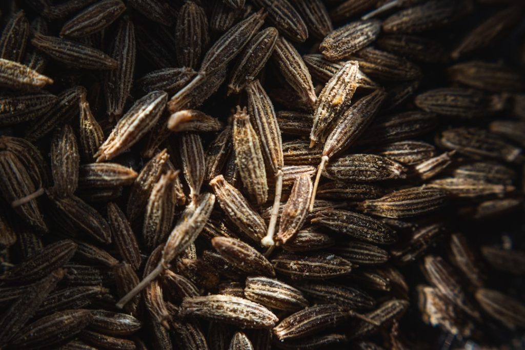 Jeera (cumin) seeds close-up - motapa kam karne ka sabse mashhoor gharelu totka